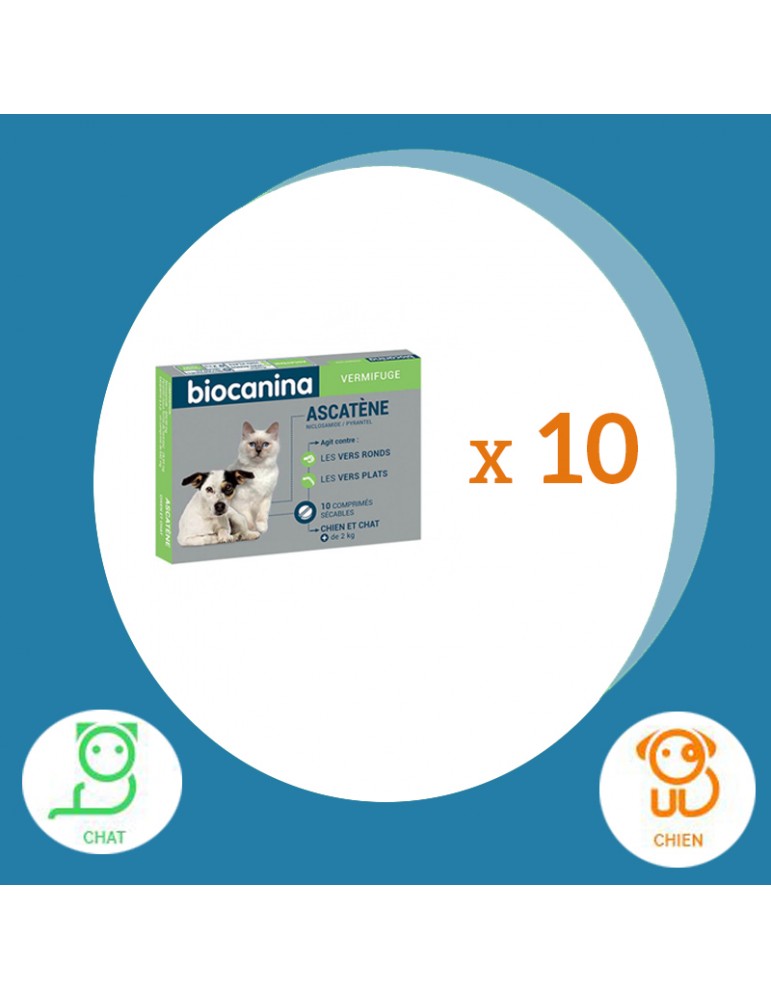 Ascatene Comprimes Vermifuge Chiens Et Chats Lot De 10 Ascatene Comprimes Vermifuge Chiens Et Chats Lot De 10