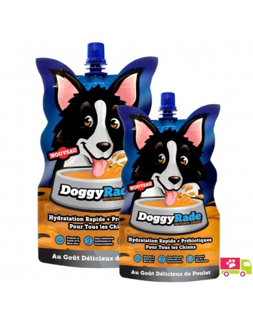 Lot de 2 gourdes DoggyRade pour chiens