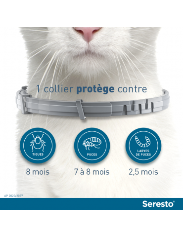 chat portant un collier seresto