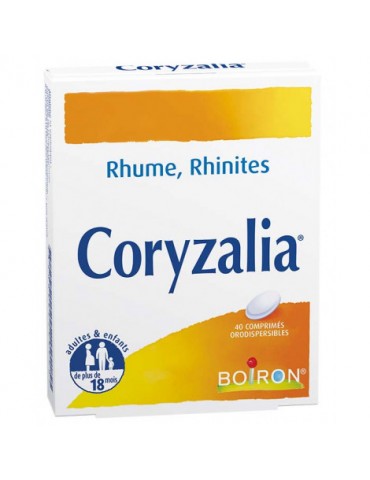 Traiter Les Problemes Respiratoires De Votre Chat Traiter Les Problemes Respiratoires De Votre Chat