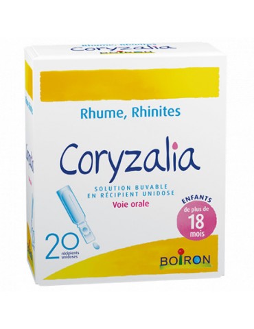 Traiter Les Problemes Respiratoires De Votre Chat Traiter Les Problemes Respiratoires De Votre Chat