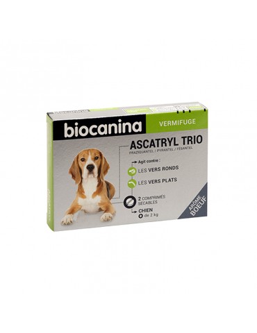 Ascatryl Trio Petit Chien