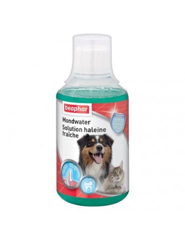 Solution haleine fraîche chien et chat