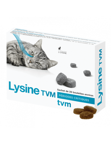 Boite Lysine chat