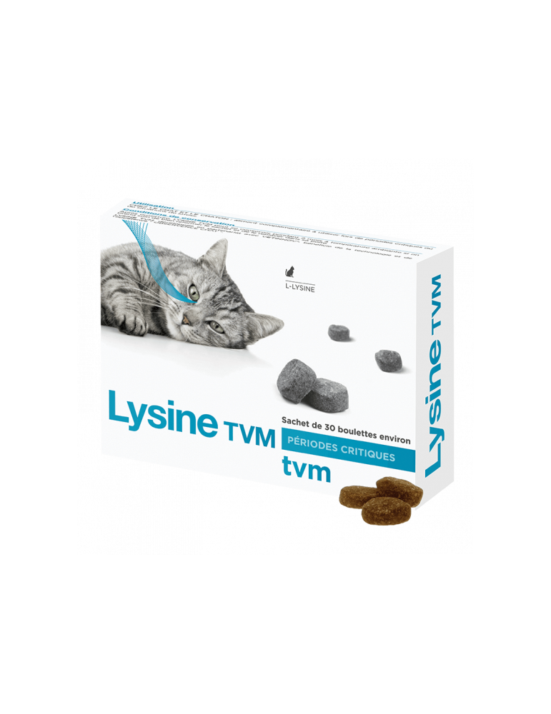 Boite Lysine chat