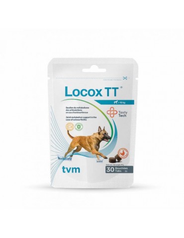 Locox TT Articulation Chien