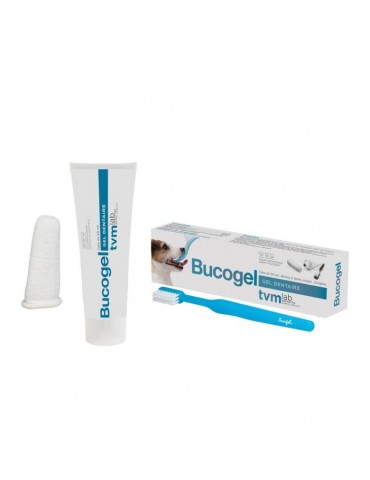 Dentifrice et brosse à dent Bucogel pour chien