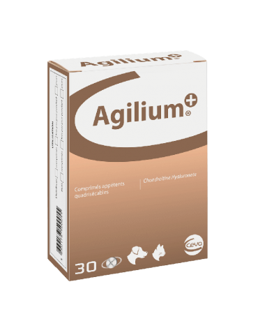 Agilium Plus Articulation...