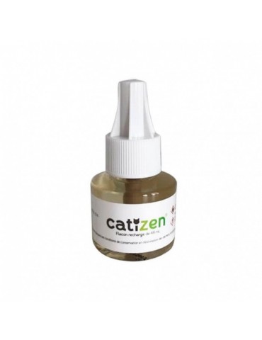 Recharge Catizen