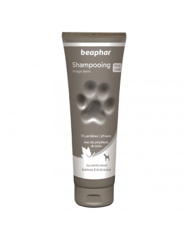 Shampooing Pelage Blanc Chiens