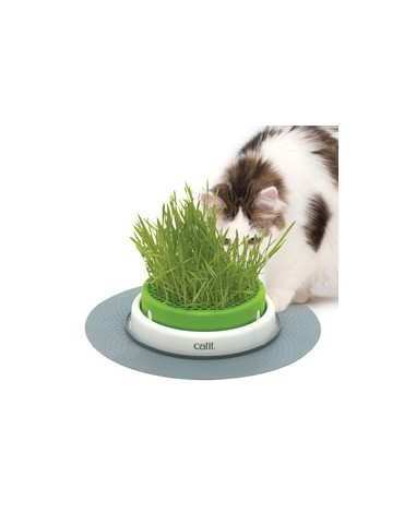 https://www.veto-plus.fr/1995-home_default/jardin-herbe-a-chat-senses-catit.jpg