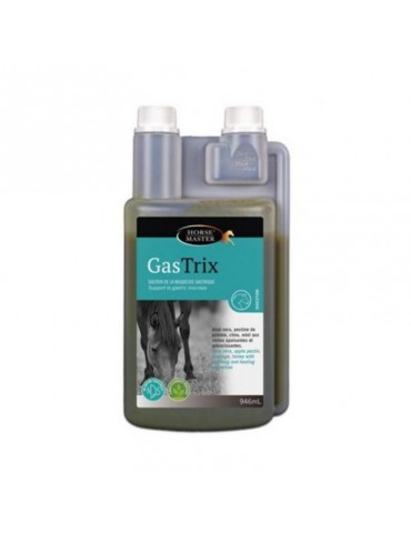 Gastrix Horse Master 946ml