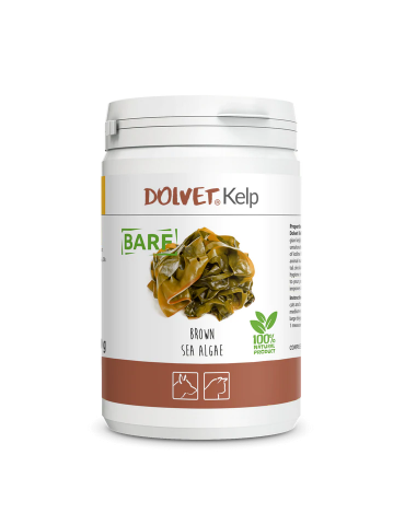 Dolvet Kelp Chien et Chat
