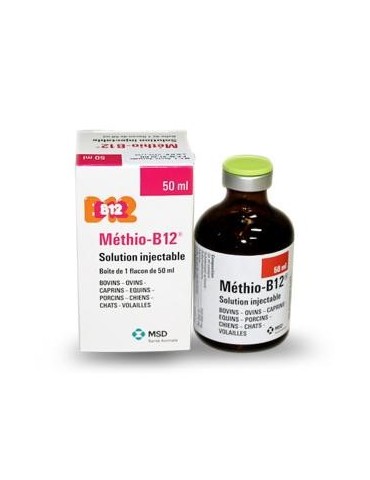 Methio B12 Solution Injectable