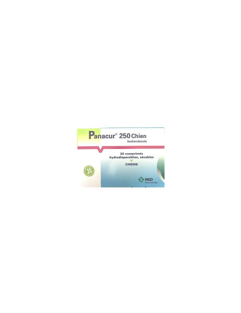 Panacur 250 pour Chien Panacur 250 pour Chien