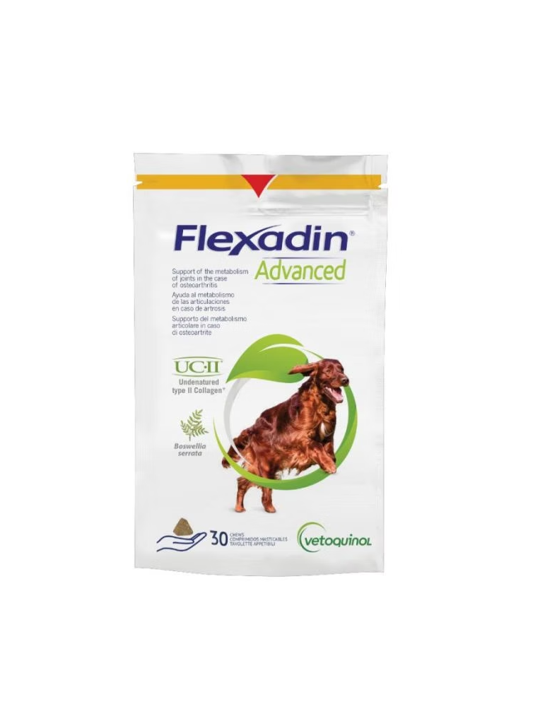 Flexdin Advanced BOSWELLIA pour Chien