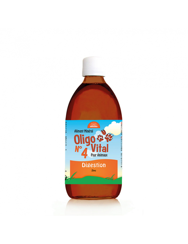 Oligo Vital n°4 Digestion Cheval