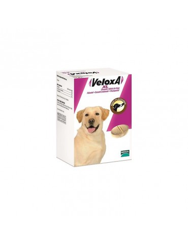 Veloxa Vermifuge Chien XL