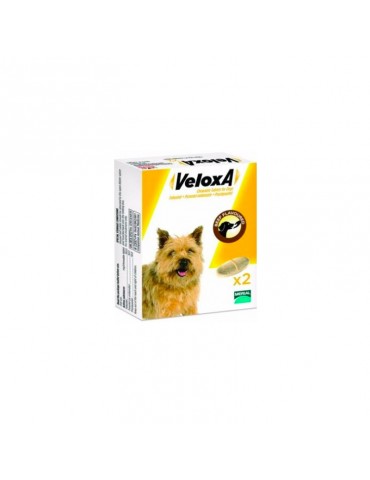 Veloxa Vermifuge Chien