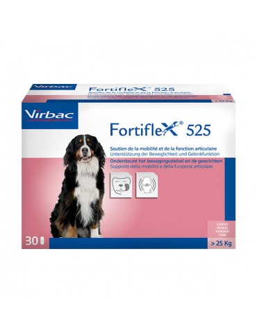 Fortiflex 525 Arthtose Chien