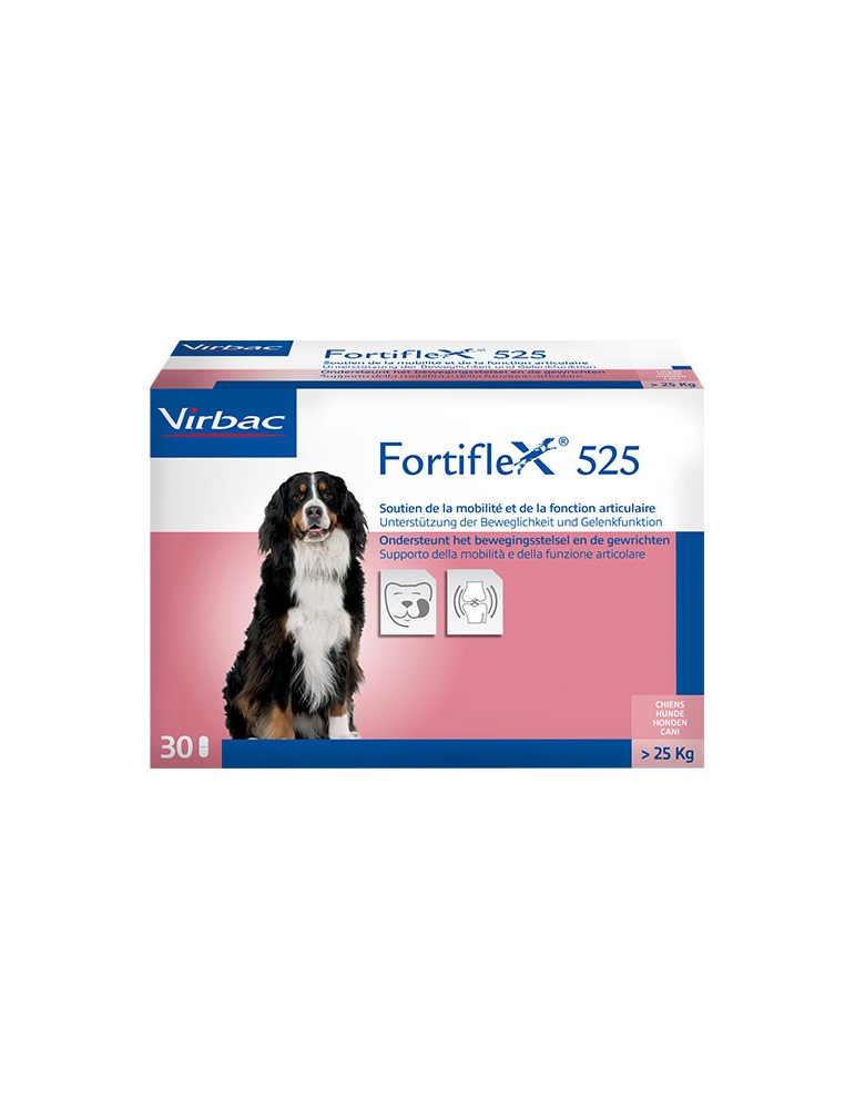 Fortiflex 525 Arthtose Chien