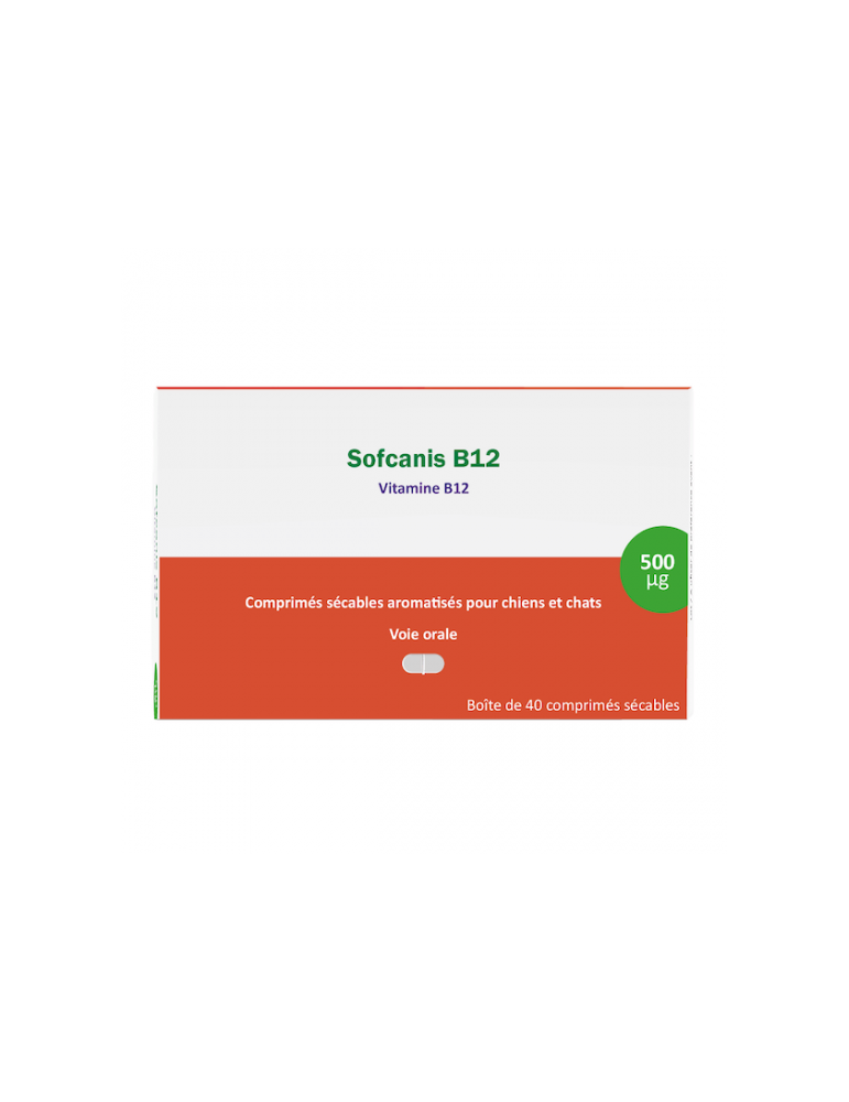Boîte Sofcanis B12