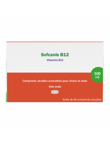Boîte Sofcanis B12