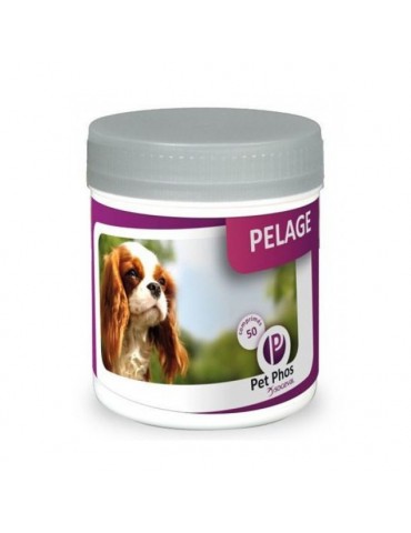 Boîte de Pet Phos Pelage pour Chien