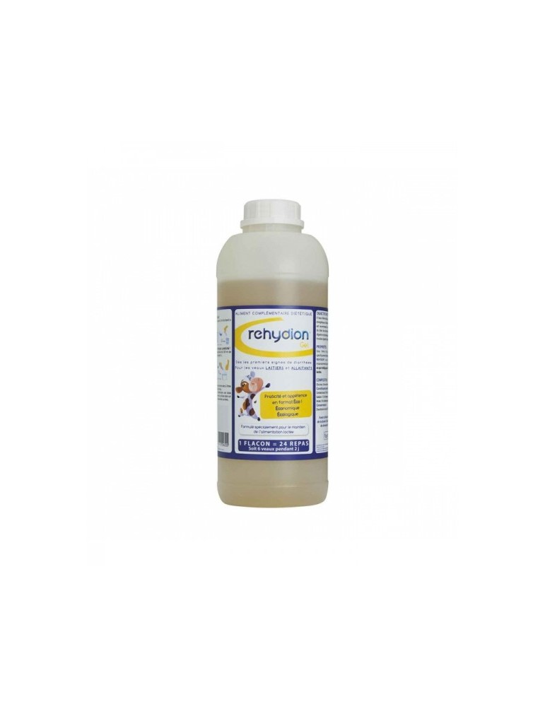 Bouteille Rehydion Gel 960 ml