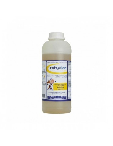 Bouteille Rehydion Gel 960 ml