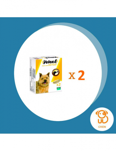 Pack de 2 boîte veloxa pour chien en 2 comprimés