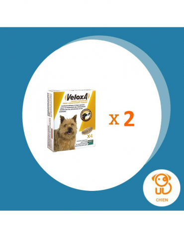 Pack de 2 boîte veloxa pour chien en 4 comprimés