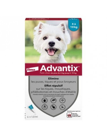 Boîte advantix petit chien elanco