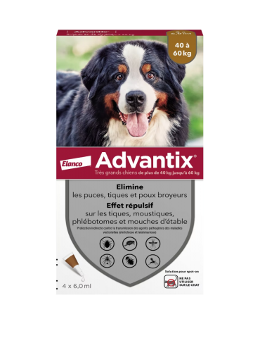 Boîte advantix très grand chien elanco