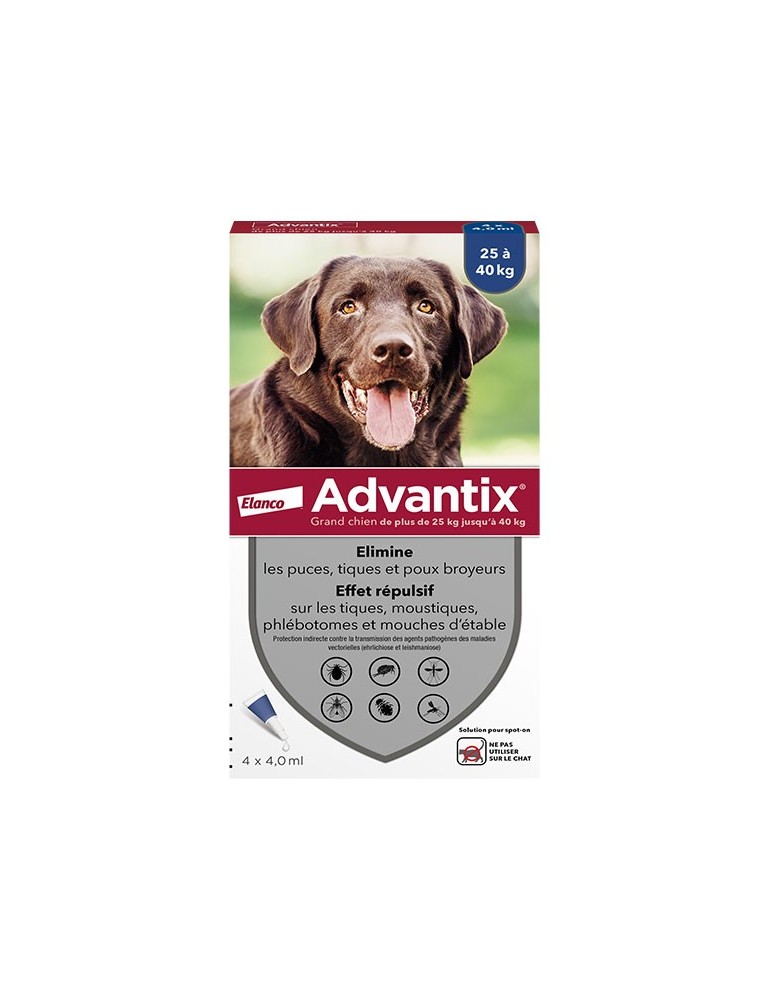 Boîte advantix grand chien elanco