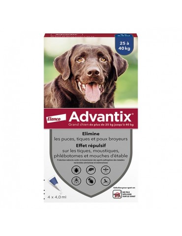 Boîte advantix grand chien elanco