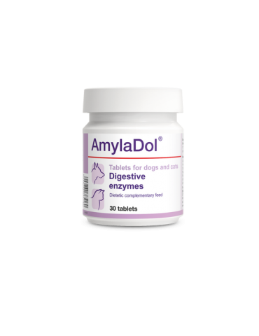 Pot Amyladol Enzymes Digestives en 30 comprimés