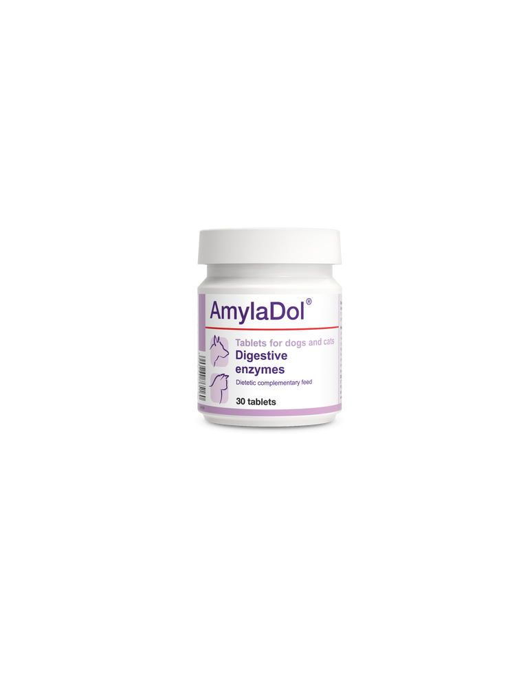 Pot Amyladol Enzymes Digestives en 30 comprimés