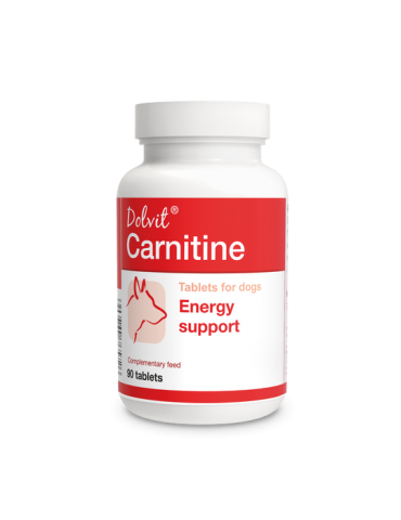 Pot en plastique Dolvit Carnitine Silhouette et Energie Chiens