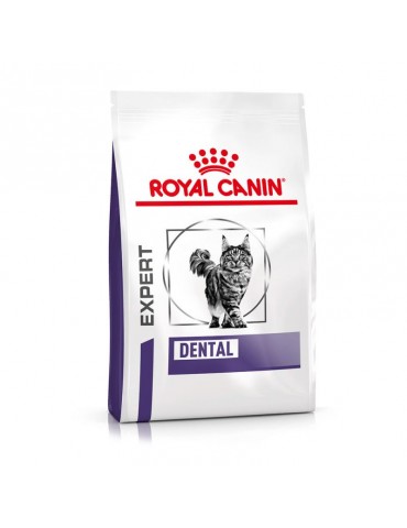 Sac de croquettes Royal Canin Veterinary spécial Chat Dental