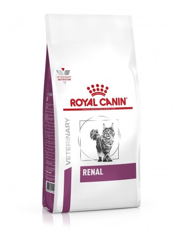 Pack de 12 Mousses Royal Canin Recovery pour Chien et Chat