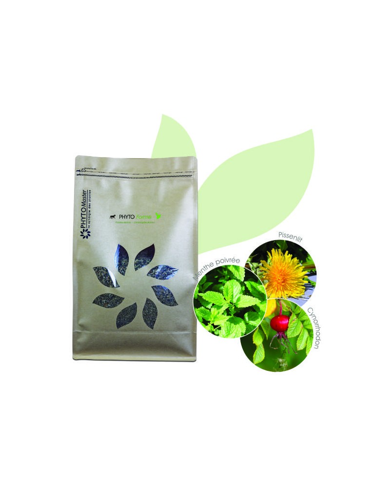 herbes sèches phytoforme en sachet de 1 kg