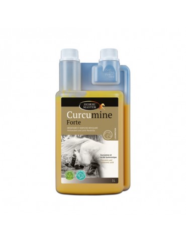 Bouteille de 1L Curcumine