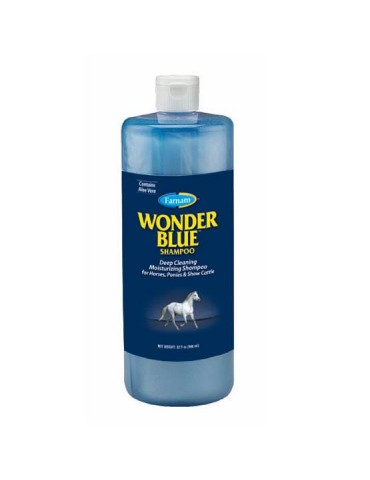 Bouteille de shampooing Wonder Blue