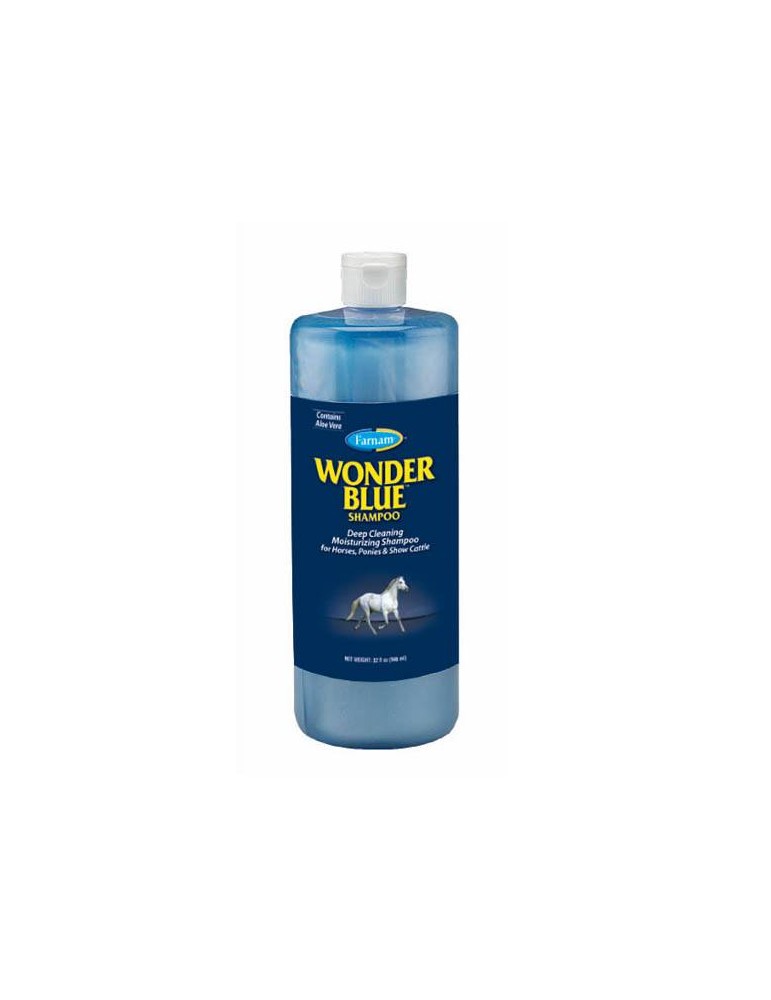 Bouteille de shampooing Wonder Blue