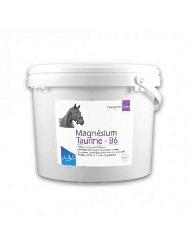 Magnésium Taurine - B6