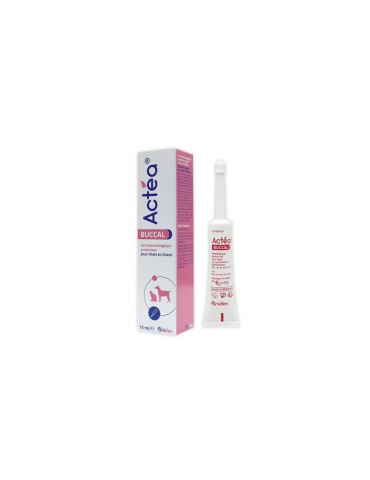 Boîte et gel Actéa Buccal de 15 ml