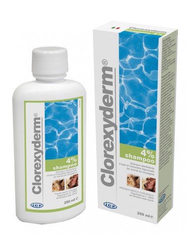 Boîte et tube de shampooing Clorexyderm 4%