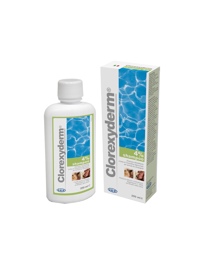 Boîte et tube de shampooing Clorexyderm 4%