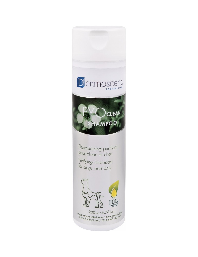 Shampooing purifiant Dermoscent Pyoclean pour chiens et chats